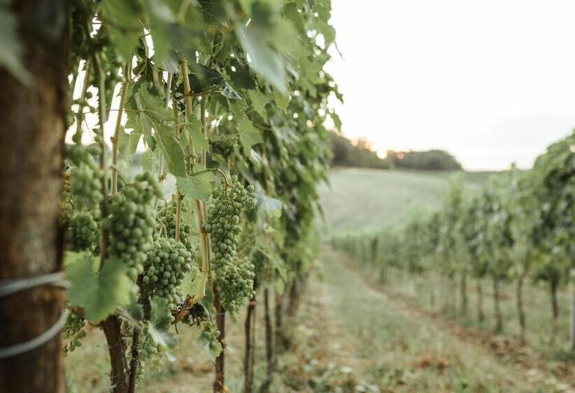 ホテル Perelli Winery