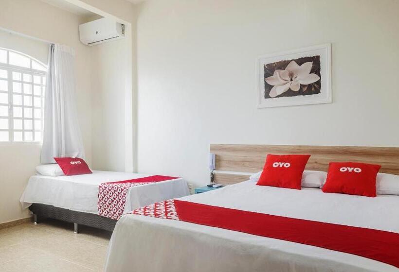 בית מלון כפרי Brisa Tropical