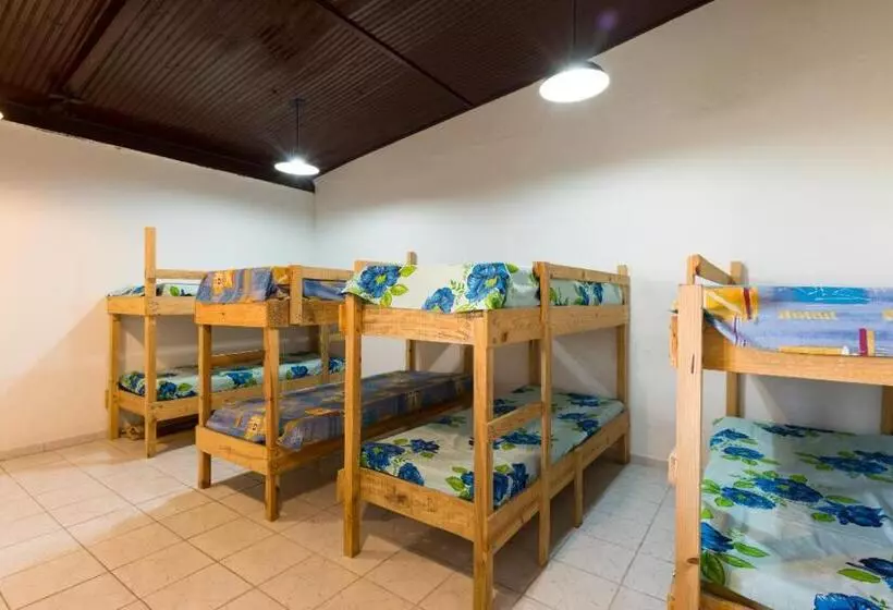 Man Cave Hostel