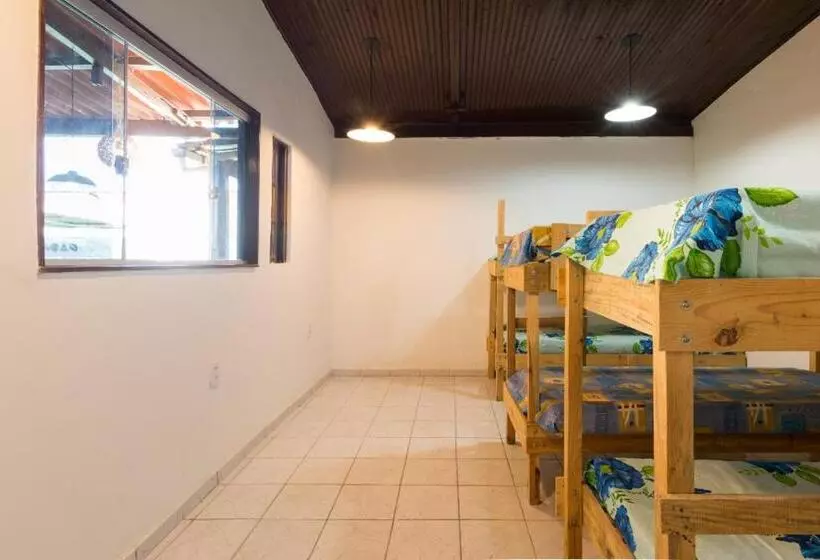 Man Cave Hostel