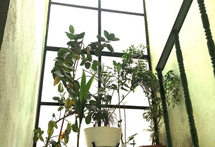 膳宿费 Hostal Hermanos Sánchez