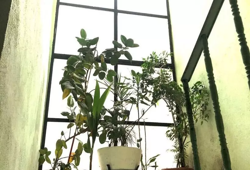 Majatalo Hostal Hermanos Sánchez