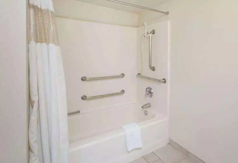 酒店 Days Inn By Wyndham Palm Springs