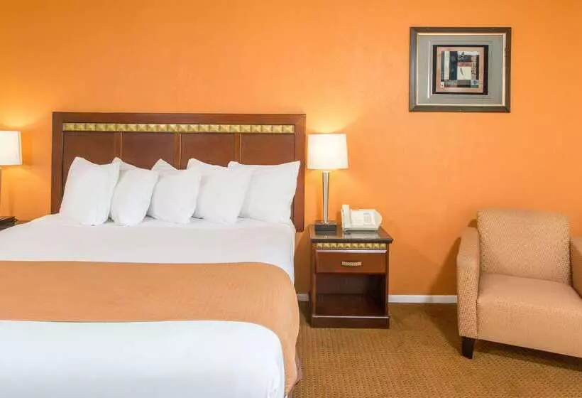 酒店 Days Inn By Wyndham Palm Springs