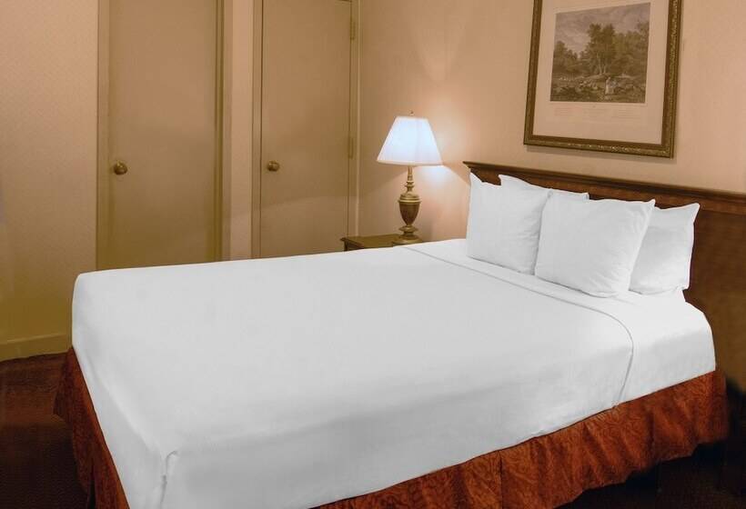 Night Hotel Broadway