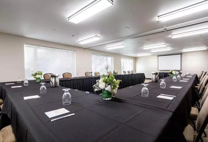 ホテル Oxford Suites Chico