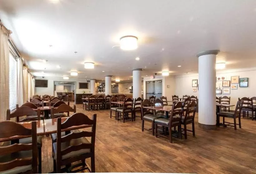 ホテル Oxford Suites Chico