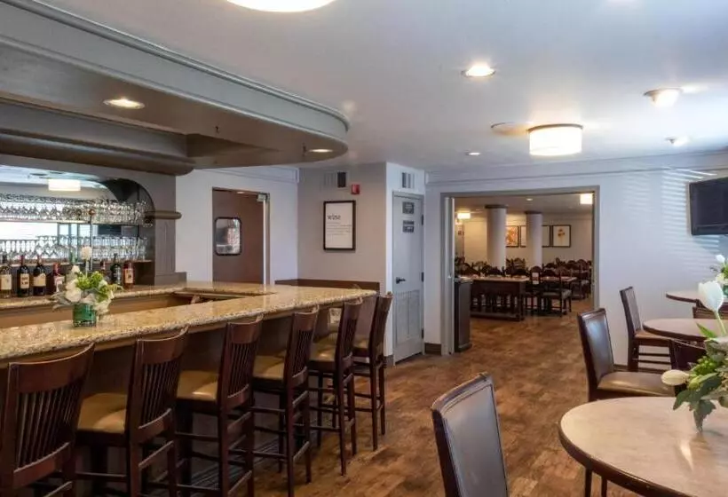 ホテル Oxford Suites Chico