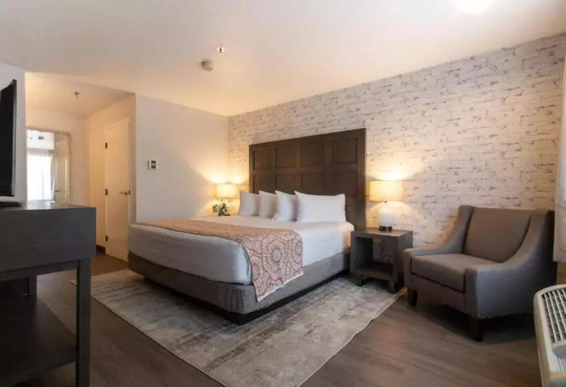 ホテル Oxford Suites Chico