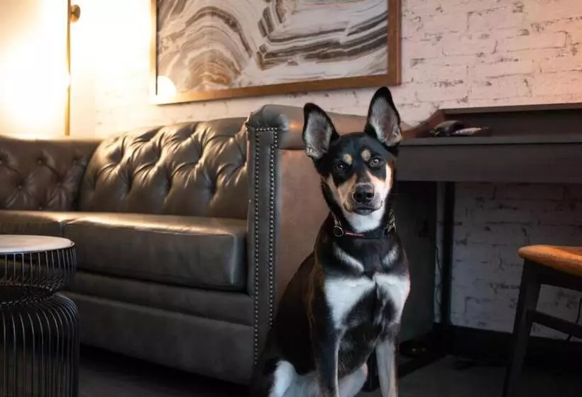 ホテル Oxford Suites Chico