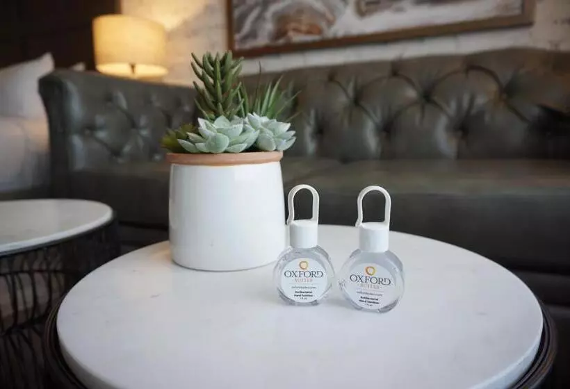 ホテル Oxford Suites Chico