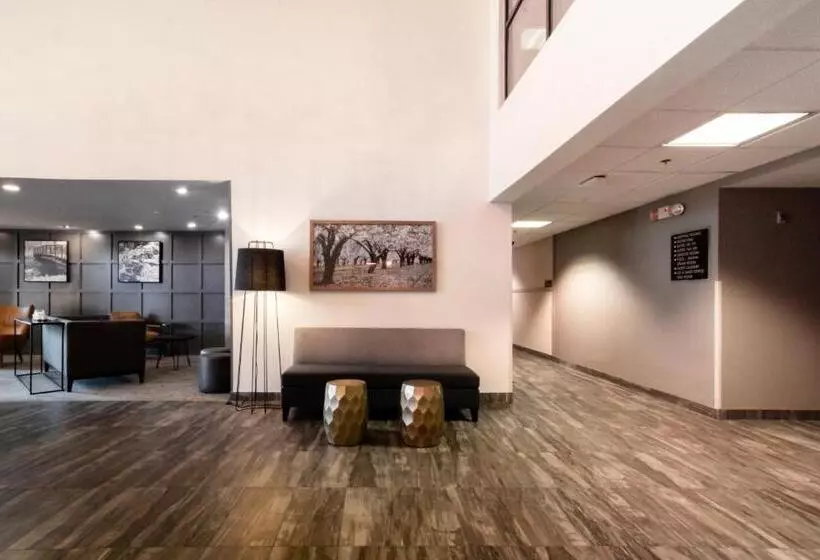 ホテル Oxford Suites Chico