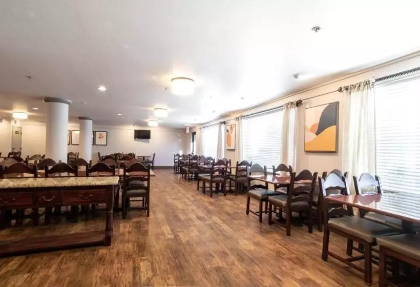 ホテル Oxford Suites Chico