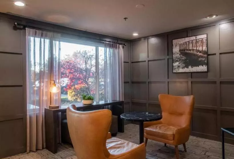 ホテル Oxford Suites Chico