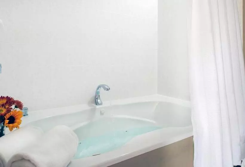 هتل Palmer House Inn