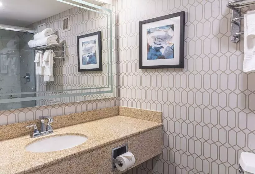 Par A Dice Hotel And Casino