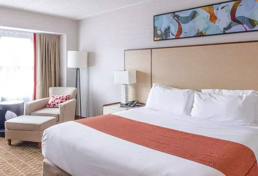 Par A Dice Hotel And Casino