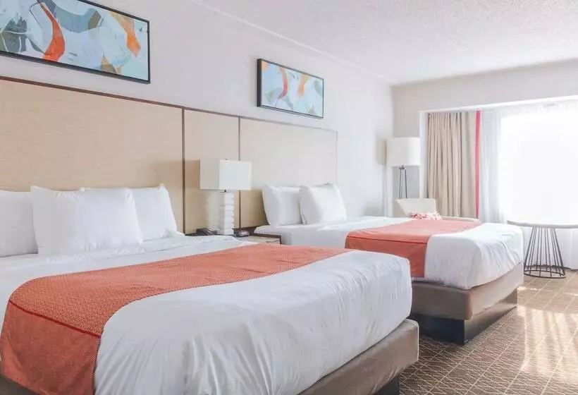 Par A Dice Hotel And Casino