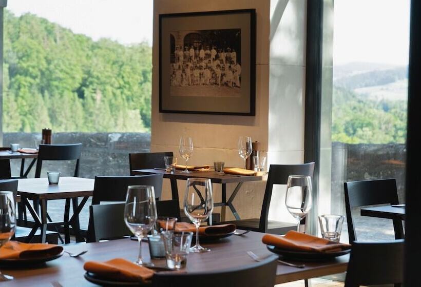 Schloss Burgdorf Youth Hostel