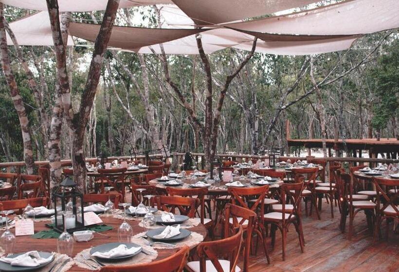 فندق Boutique Chacá