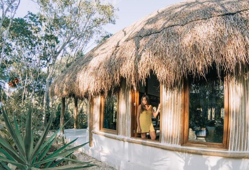 فندق Boutique Chacá