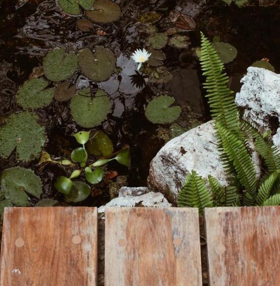 فندق Boutique Chacá