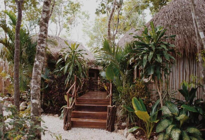 فندق Boutique Chacá