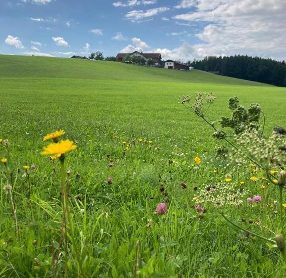 Отель Plattenberger Hof