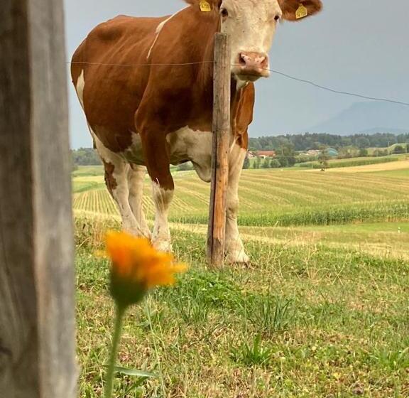 Отель Plattenberger Hof