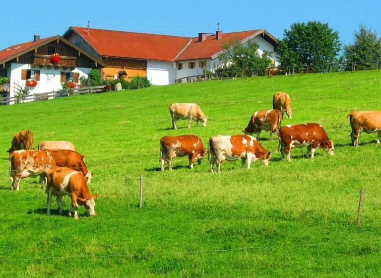 Отель Plattenberger Hof