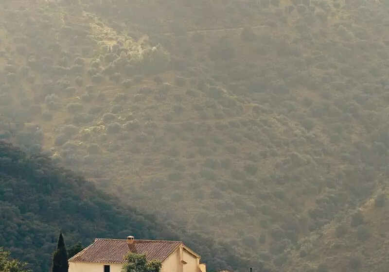 تختخواب و صبحانه Finca Serrato