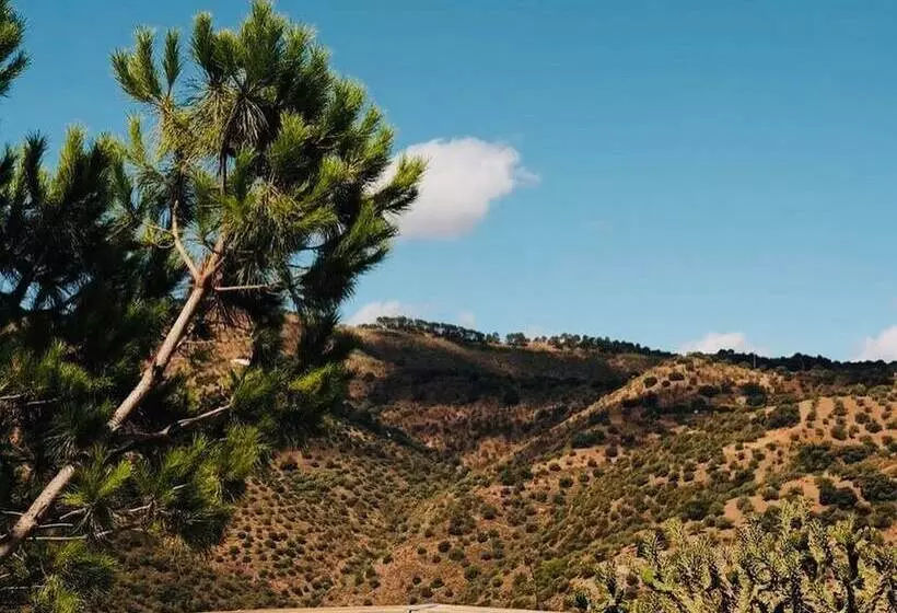 تختخواب و صبحانه Finca Serrato