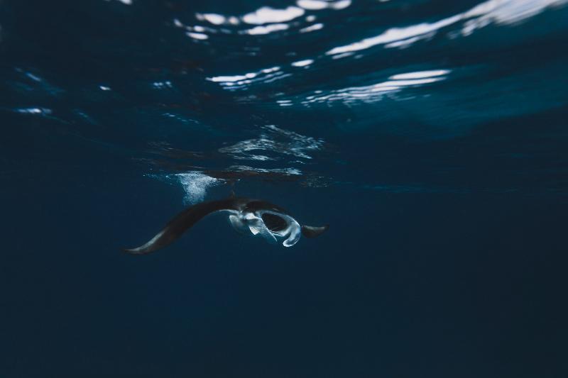 هتل Kaani Palm Beach