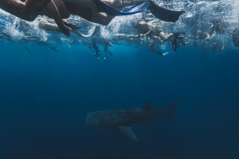 هتل Kaani Palm Beach