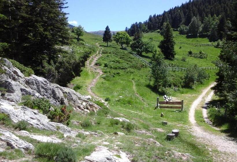 ベッドアンドブレックファースト Belle Maison De Montagne