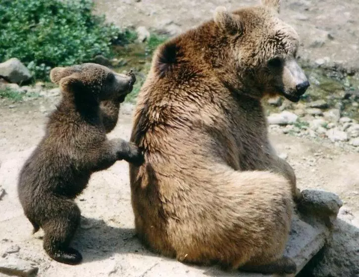 Aamiaismajoitus (B&B) Belle Maison De Montagne