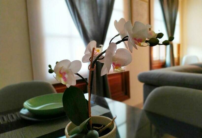 Concepción Suite Plaza