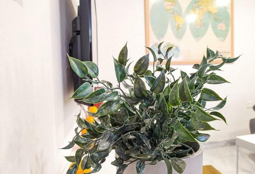 Concepción Suite Plaza