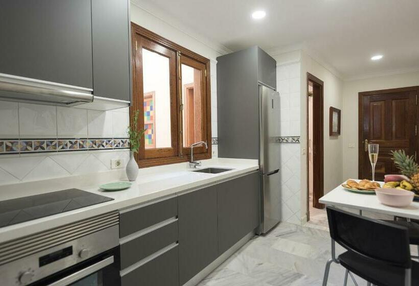 Concepción Suite Plaza