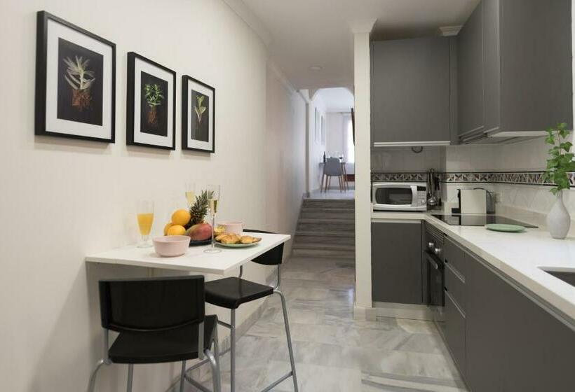 Concepción Suite Plaza