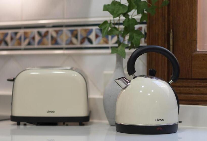 Concepción Suite Plaza