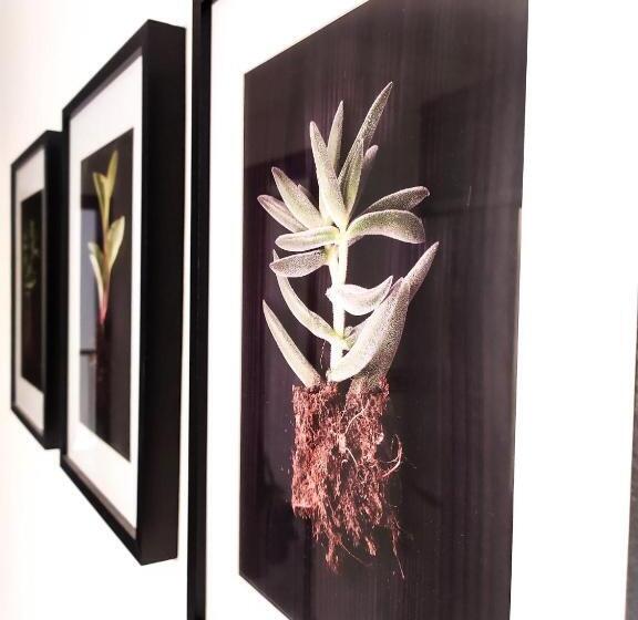 Concepción Suite Plaza