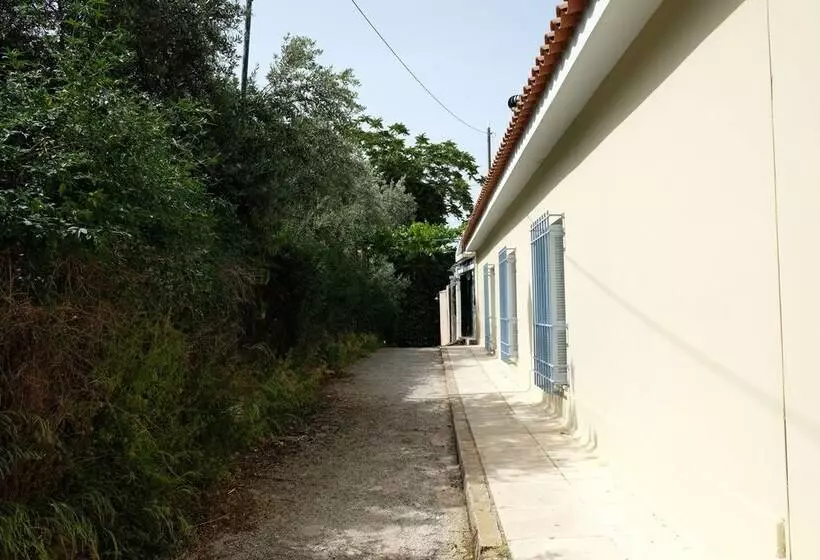 George Studio