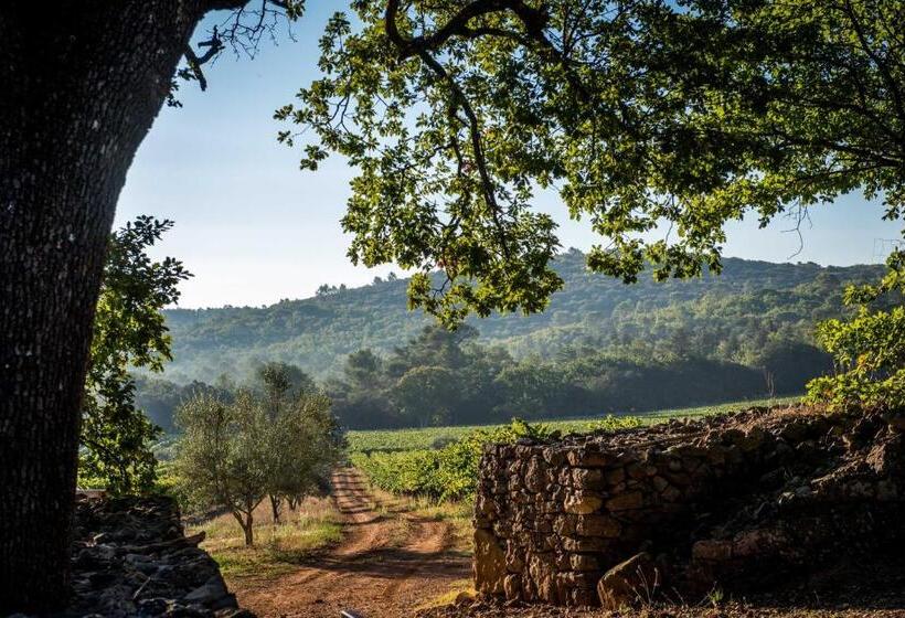 Pensionat Commanderie De Peyrassol