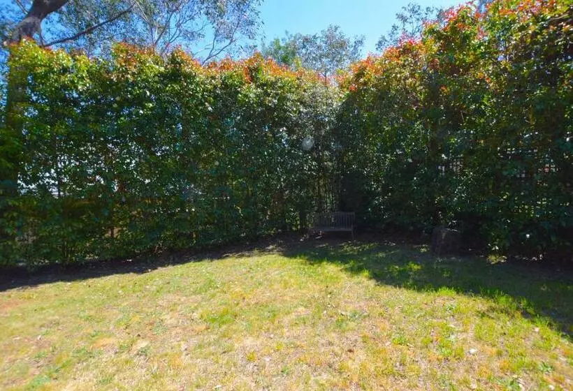 Rocky Mountain Cottage