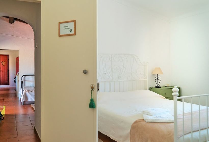 فندق ريفى Monte Da Mesquita