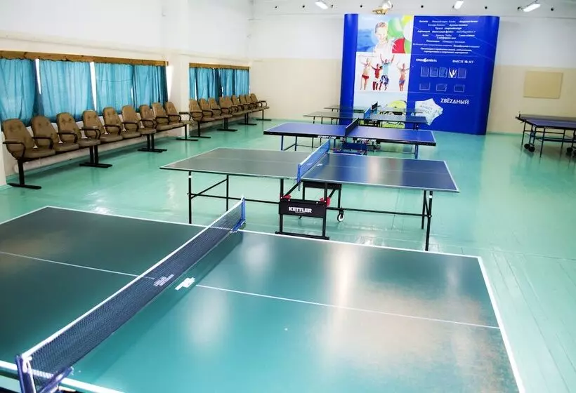 ホテル Zvezdny Park