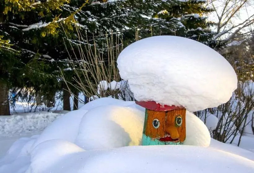 ホテル Zvezdny Park