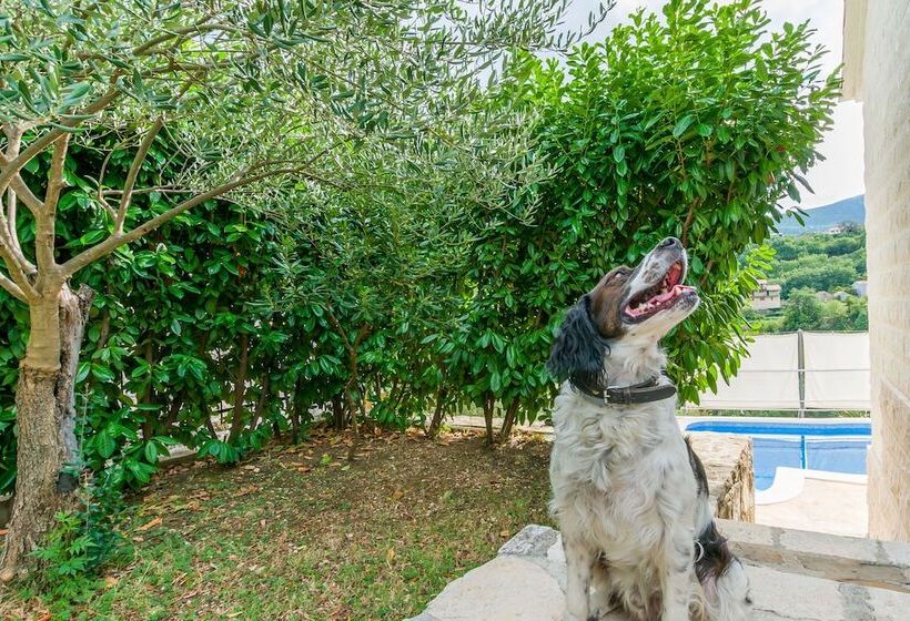 Villa Holiday Home Zvečanje