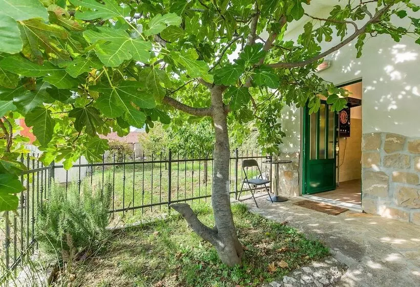 Villa Holiday Home Zvečanje